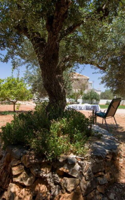 Magnolia: Eksteriør, Hage, Utendørs