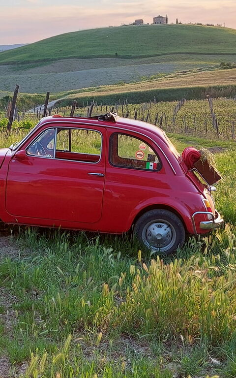 Podere Peteglia: Visningar