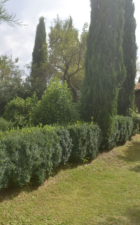 Podere Peteglia: Eksteriør, Hage, Utendørs