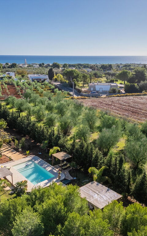 Villa Renedda: basseng, Visningar