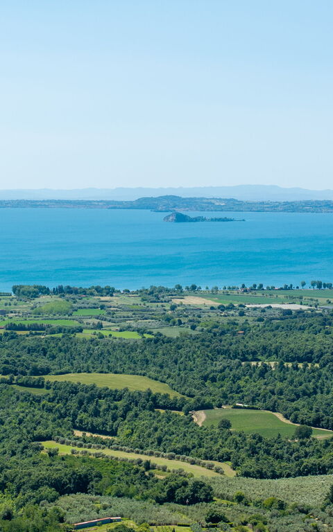 Tenuta Poggio Guiano: Visningar