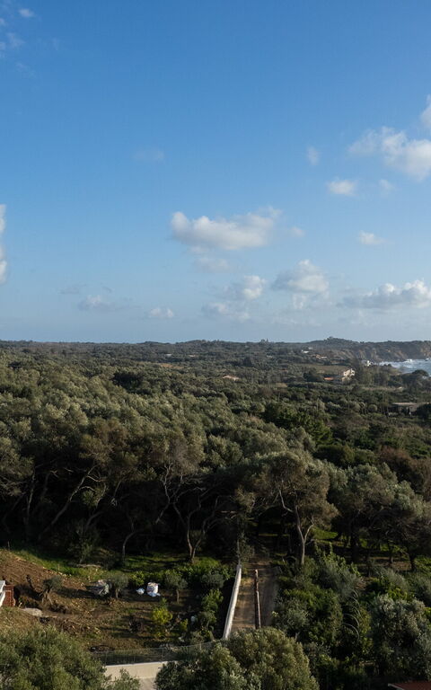 Villa Elais: Utendørs, Visningar