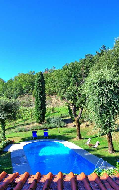 Villa Ulivacci: basseng