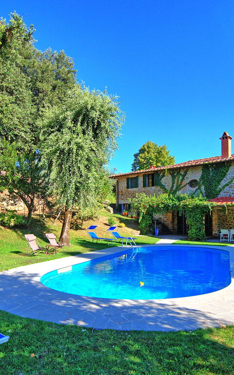 Villa Ulivacci: basseng, Eksteriør, Hage, Sommer, Utendørs