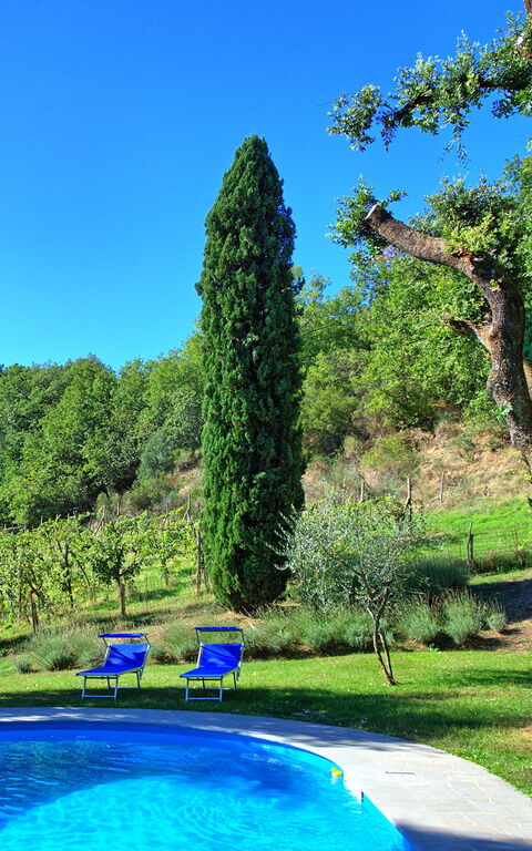Villa Ulivacci: basseng