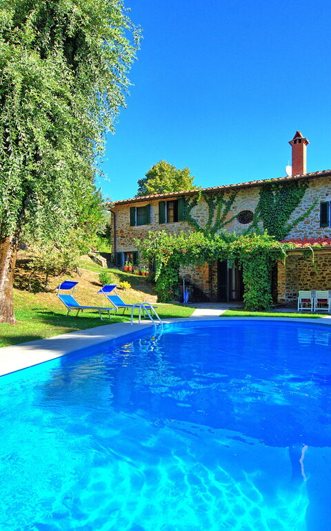 Villa Ulivacci: basseng, Hage