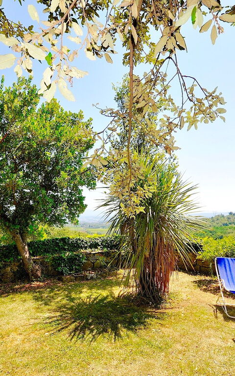 Villa Ulivacci: Hage