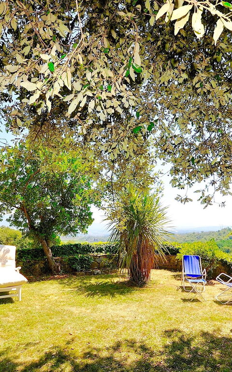 Villa Ulivacci: Hage