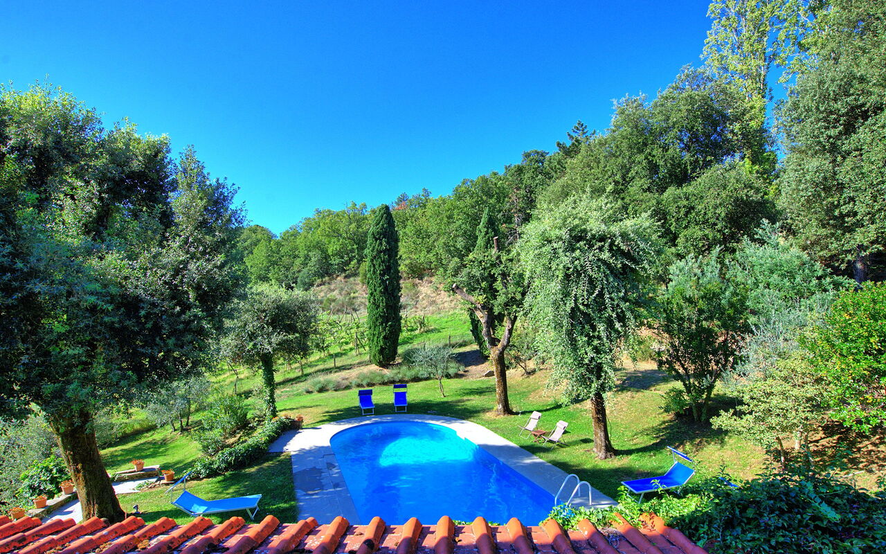 Villa Ulivacci: basseng