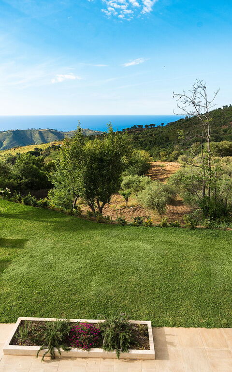 Casita: Eksteriør, Hage, Utendørs