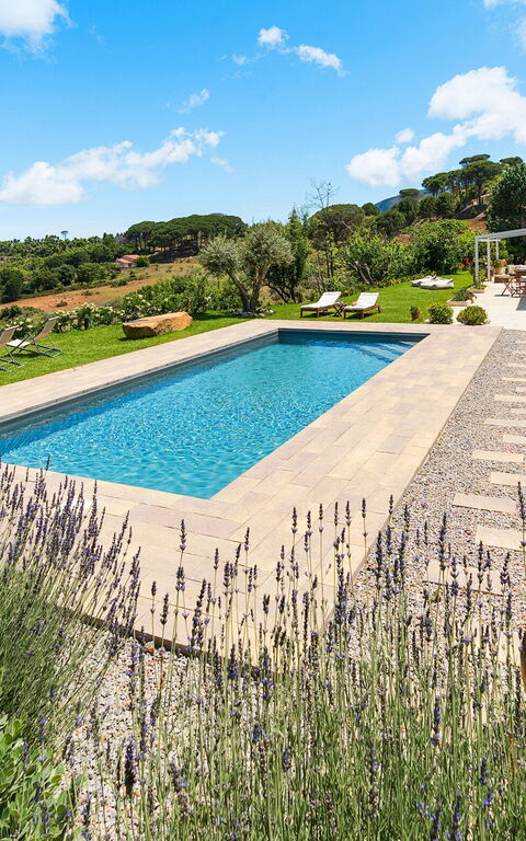 Casita: basseng, Eksteriør, Hage, Utendørs