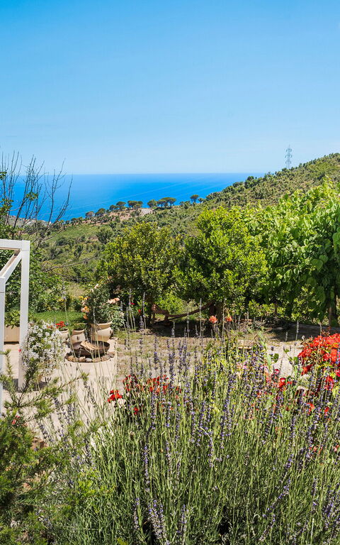 Casita: Balkong / terrasse / uteplass, Eksteriør, Utendørs