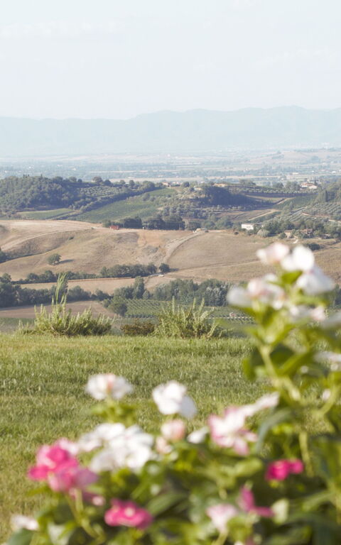 Villa Icario: Eksteriør, Hage, Utendørs, Visningar