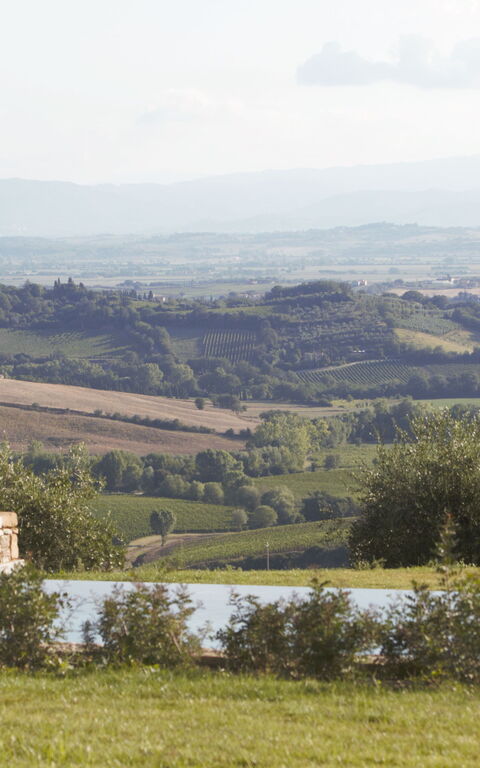 Villa Icario: basseng, Eksteriør, Hage, Utendørs, Visningar