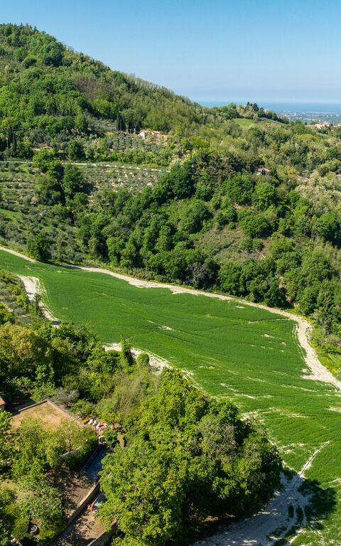 Villa Belvedere San Bartolo: Visningar
