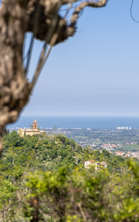 Villa Belvedere San Bartolo: Visningar
