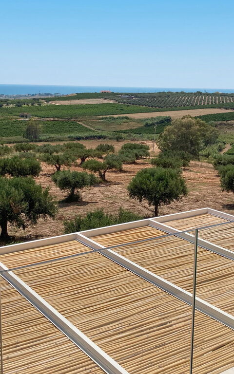 Terra di Bertolino: basseng, Visningar