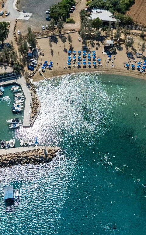 Ayia Triada Beach Gardens: Visningar