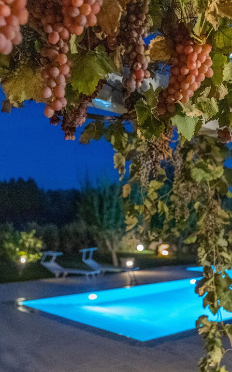 Villa Icaria: basseng, Eksteriør, Utendørs