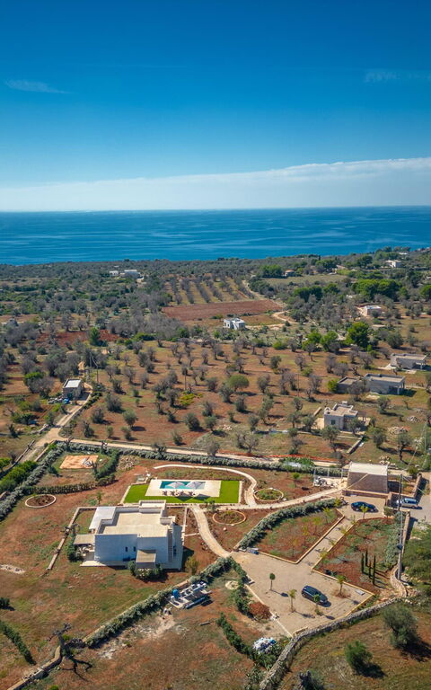 Villa del Cedro: Visningar