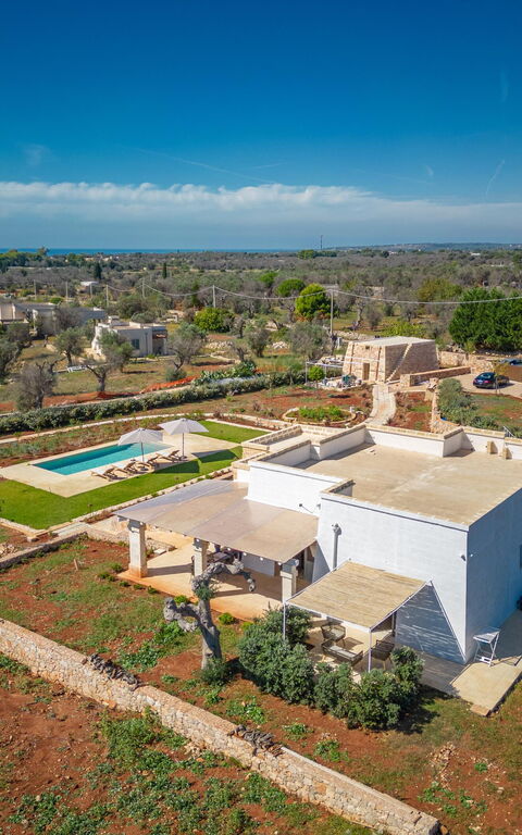 Villa del Cedro: Visningar