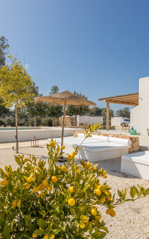 Villa Panacea: Eksteriør, Utendørs