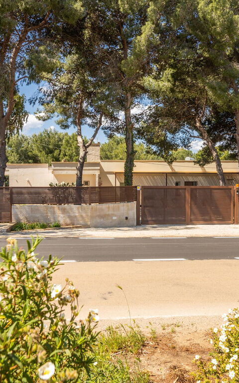 Essenza di Pace: Hovedinngang