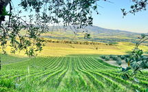 Bildet er lagt til av tidligere gjest på Villa Chiugi