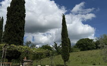 Bildet er lagt til av tidligere gjest på Villa Lo Scoiattolo