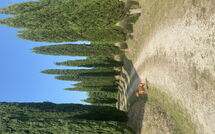 Bildet er lagt til av tidligere gjest på Villa Gualchiere