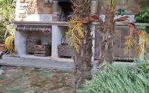 Bildet er lagt til av tidligere gjest på Casale di Cozzile