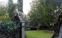 Bildet er lagt til av tidligere gjest på Montegufoni