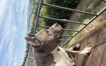 Bildet er lagt til av tidligere gjest på Villa Roberto