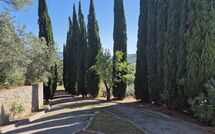 Bildet er lagt til av tidligere gjest på Villa Uccellaia