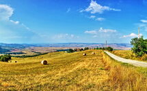 Bildet er lagt til av tidligere gjest på Casale Santa Francesca