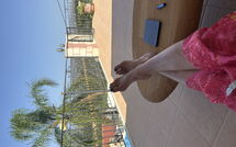 Bildet er lagt til av tidligere gjest på Villa Kois