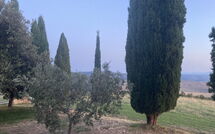 Bildet er lagt til av tidligere gjest på Casale Santa Francesca