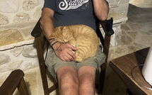 Bildet er lagt til av tidligere gjest på Villa Armonia