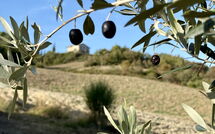 Bildet er lagt til av tidligere gjest på Villa San Michele