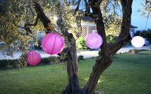 Bildet er lagt til av tidligere gjest på Podere Romina - Stalla Apartment