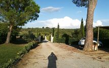 Bildet er lagt til av tidligere gjest på Podere Romina