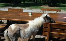 Bildet er lagt til av tidligere gjest på Villa Mario