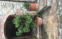 Bildet er lagt til av tidligere gjest på La Ruota