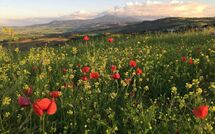 Bildet er lagt til av tidligere gjest på Montegufoni