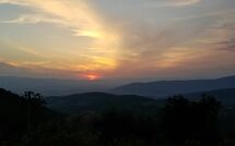 Bildet er lagt til av tidligere gjest på Villa Tenuta Lonciano