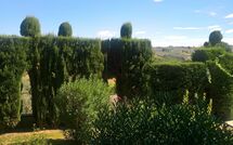 Bildet er lagt til av tidligere gjest på Montegufoni