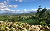 Bildet er lagt til av tidligere gjest på Casale Giotto