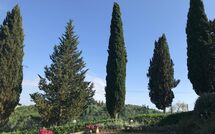 Bildet er lagt til av tidligere gjest på Villa Sabrina