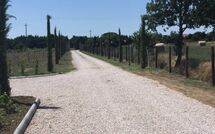 Bildet er lagt til av tidligere gjest på Villa dei Vini