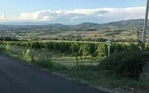 Bildet er lagt til av tidligere gjest på San Carlo